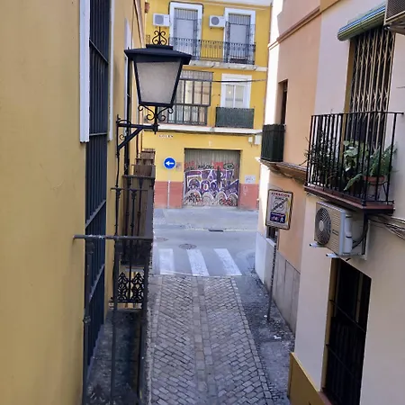 Alfaqueque B * Siviglia